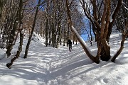 48 Bella neve sul  sentiero 571 per 'I Canti'  